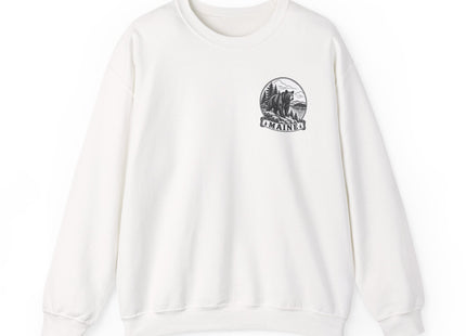 Copy of Copy of Copy of Copy of Unisex Heavy Blend™ Crewneck Sweatshirt