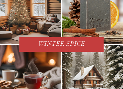 Winter Spice Soap