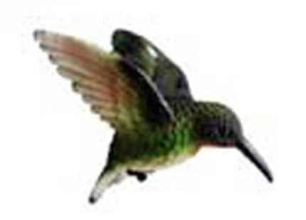 Clark Collection CC52033 Ruby Throated Hummingbird Window Magnet Hummingbird Fly Thru Window Ornament
