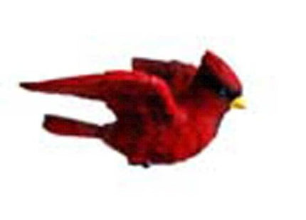 Clark Collection Cardinal Window Magnet,Red