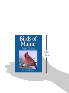 Birds of Maine Field Guide