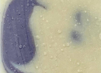 Blueberries & Cream Soap Bar