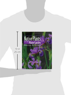 Native Plants for Your Maine Garden