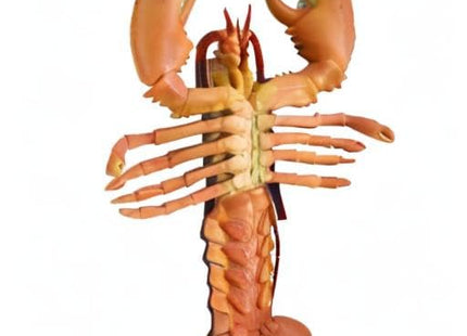 NOVELTY GIANT WWW.NOVELTYGIANT.COM Realistic Looking 9.5" Maine Lobster Plastic Food Party Decor Gag Gift