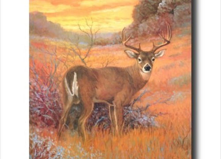 Whitetail Buck Deer Big Antler Rack Sunset Animal Wildlife Wall Picture Art Print