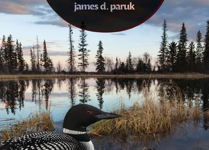 Loon Lessons: Uncommon Encounters with the Great Northern Diver