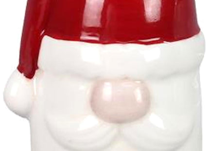 The Bridge Collection Christmas Reindeer & Santa Salt & Pepper Shaker Set