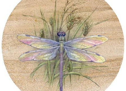 Thirstystone Dragonfly 4 Pack Round Natural Sandstone Coasters