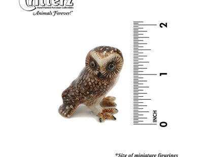 Little Critterz Owl Saw whet Owl Sawyer - Home Decor Bird Miniature Porcelain Figurine