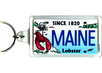 Maine State License Plate Acrylic Rectangular Souvenir Keychain 2.25" X 1.25