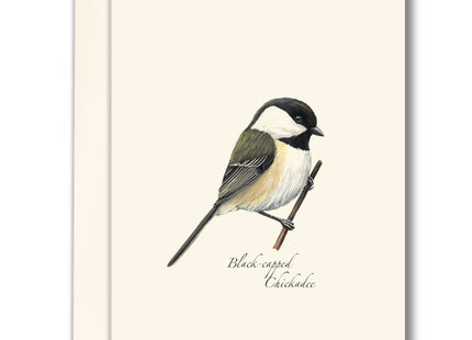 Earth Sky + Water - Black-capped Chickadee Notecard Set - 8 Blank Cards with Envelopes