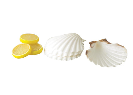 Maine Man Natural Baking Shells, Harvested From Ireland And Scotland, For Baking, Seafood, Appetizers, And Desserts, 4-Inch, Set of 4