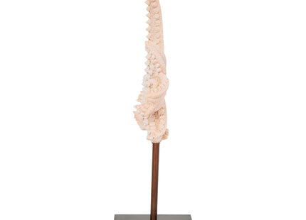 Deco 79 Polystone Starfish Decorative Sculpture Textured Home Decor Statue with Copper Stand, Accent Figurine 8" x 4" x 12", Pink
