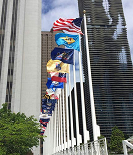 Annin Flagmakers Maine State Flag - 4 x 6 Feet (Model 142270)