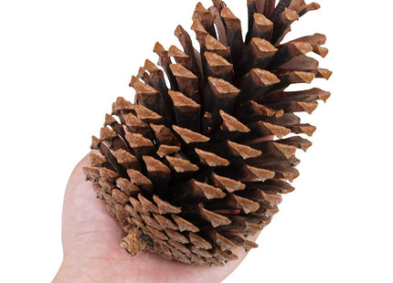 Supla 6 PCS 5"- 6" Tall Natural Pinecones Giant Pine Cones Large Pinecone Ornaments Real Preserved Pine Cones Big Pinecones