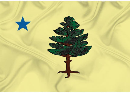 1901-1909 Maine Flag 3x5 Ft Large,Premium Silk Fabric -ME State United States Flags Decoration Gift Yard House Outdoor Banner 90x150cm