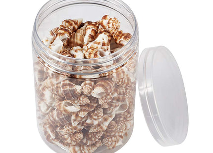 Craftdady About 161pcs/Box Natural Spiral Sea Shell Pendants 13.5-17.5x20.5-30.5mm Cowrie Beach Seashell Charms with 1.5mm Hole for Jewelry Making Fish Tank Home Decor