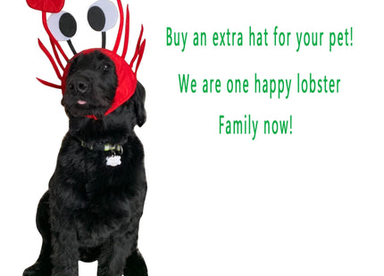 Men's Women's Novelty Hat 3D Lobster Crawfish Crab Seafood Hat with Claws (Crab)
