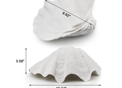 Afadorable Resin Seashell Decorative Bowl for Home Decor, Large Clam Shell Bowl for Coffee Table Centerpiece Kitchen Counter, Sea Shell Key Bowl for Entryway Table (White)
