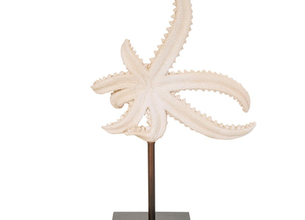 Deco 79 Polystone Starfish Decorative Sculpture Textured Home Decor Statue with Copper Stand, Accent Figurine 8" x 4" x 12", Pink