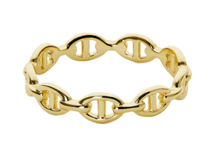 Ana Luisa 14K Gold Plated Iver Anchor Chainr Ring for Women - Non-Tarnish