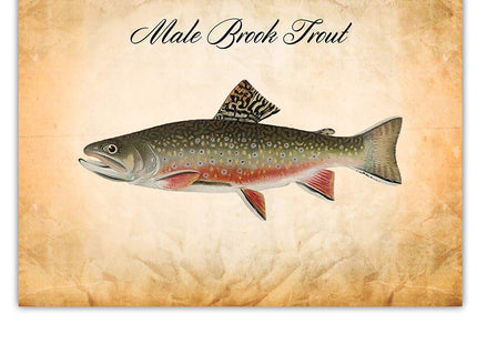 Trout Fly Fishing Wall Art - Vintage Poster Prints Set of 4 8x10 Unframed