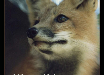 Living the Dream: Life as a Maine Game Warden