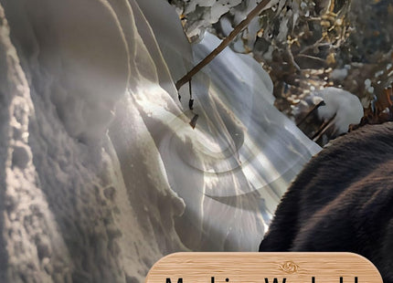 MDDGKH Winter Shower Curtain Snow Mountain Bear Cabin Pine Tree Bathroom Curtains Wild Animal Rustic Farmhouse Waterproof Polyester Fabric Bath Home Decor Set with Hooks 71x71 Inch
