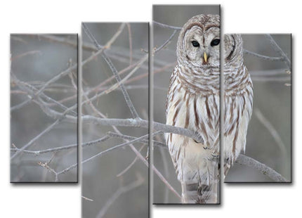 Owl Wall Art Artwork White Owl Prints On Canvas, 4 Panels Animal Pictures