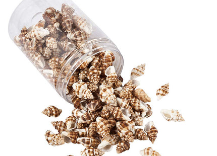 Craftdady About 161pcs/Box Natural Spiral Sea Shell Pendants 13.5-17.5x20.5-30.5mm Cowrie Beach Seashell Charms with 1.5mm Hole for Jewelry Making Fish Tank Home Decor