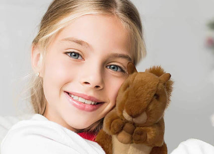 Aurora World Miyoni Squirrel Plush Set - 8" Realistic Stuffed Animals for Kids and Collectors (Red Squirrel)