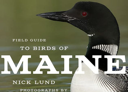 American Birding Association Field Guide to Birds of Maine