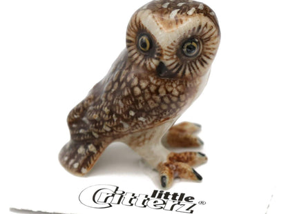 Little Critterz Owl Saw whet Owl Sawyer - Home Decor Bird Miniature Porcelain Figurine