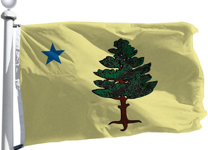 1901-1909 Maine Flag 3x5 Ft Large,Premium Silk Fabric -ME State United States Flags Decoration Gift Yard House Outdoor Banner 90x150cm