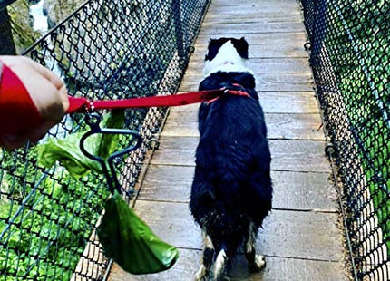 The dooloop Hands Free Dog Poop Holder - Carry Pet Waste Bag with Attachable Leash Accessory for Dog Walking. Now made with Recycled/Recyclable Plastic. Maine, USA (Country Set) Charcoal, Green