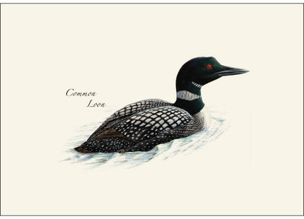 Earth Sky + Water - Loon Assortment Notecard Set - 8 Blank Cards with Envelopes (4 each of 2 styles)