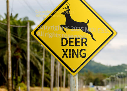 MOLESS 12x12″ Deer Crossing Sign, Deer Xing Road Sign Decor, 2308