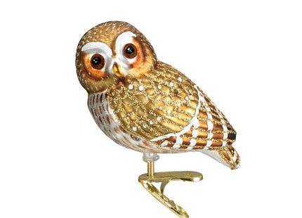 Old World Christmas Pygmy Owl Glass Blown Ornament for Christmas Tree, Handcrafted Holiday Decoration, Owl Collection