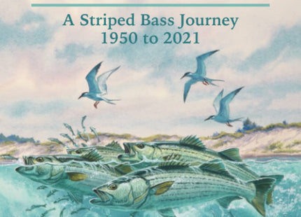 Maine to Montauk: A Striped Bass Journey 1950 to 2021