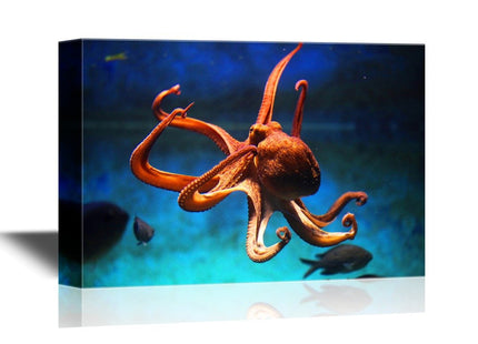 wall26 - Canvas Wall Art - an Octopus Swimming Under The Ocean - Gallery Wrap Modern Home Art | Ready to Hang - 24x36 inches