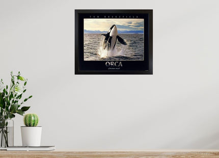 Impact Posters Gallery Breaching Orca Killer Whale Ocean Animal Nature Wall Decor Art Print Poster (16x20)