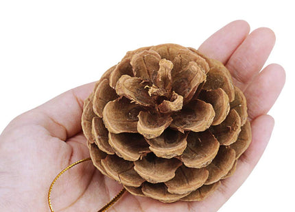 Supla 30 Pcs Christmas Hanging Real Preserved Pine Cones Ornaments 2"-3" Tall Christmas Tree Hanging Pinecone Ornaments