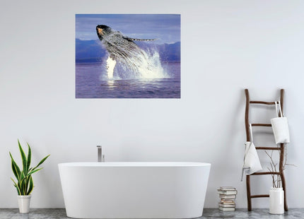 Humpback Sea Whale Ocean Animal Wall Decor Art Print Poster (16x20)