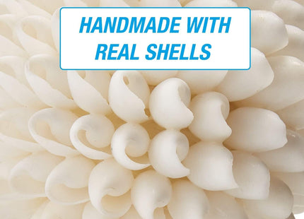 Tumbler Home Real Seashell Decorative Balls for Beach House Decor