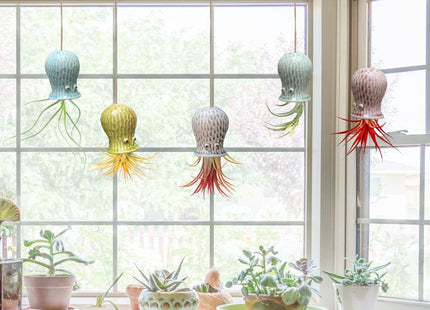 Mimeela 5 Pack Air Plant Holder Unique, Cute Octopus Air Plant Hanger Wall Planter, Ceramic Tillandsia Airplants Holders Hanging Wall Decor for Home Office (Small (2 x 3.2 in))