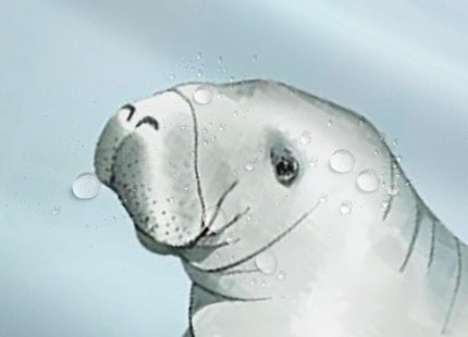 Erosebridal Manatee Shower Curtain Teal Blue Ocean Beach Coastal 72" Wx72 L
