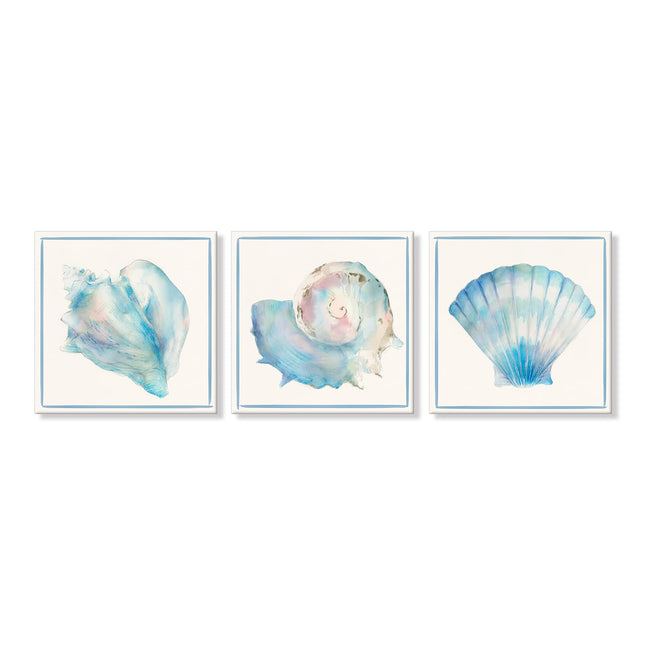 Seashell Wall Decor Ocean Beach Nautical Canvas Wall Art Blue Seashell Painting Coastal Art Pictures for Bathroom Livingroom Bedroom Wall Decoration 12x12Inchx3pcs