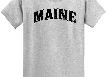 Joe's USA Vintage States T-Shirts-Regular Big and Tall-2XL-Ash-Maine