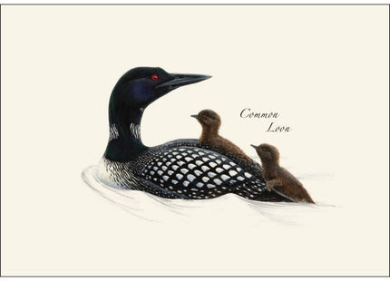 Earth Sky + Water - Loon Assortment Notecard Set - 8 Blank Cards with Envelopes (4 each of 2 styles)