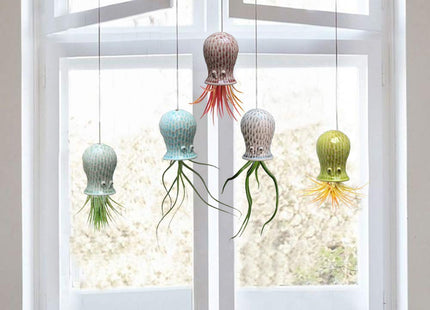 Mimeela 5 Pack Air Plant Holder Unique, Cute Octopus Air Plant Hanger Wall Planter, Ceramic Tillandsia Airplants Holders Hanging Wall Decor for Home Office (Small (2 x 3.2 in))